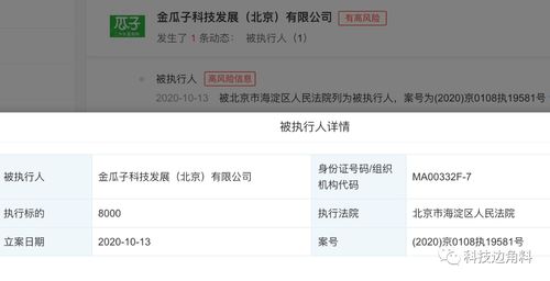 瓜子二手車成被執(zhí)行人，8000元執(zhí)行標(biāo)的牽出技術(shù)開(kāi)發(fā)糾紛